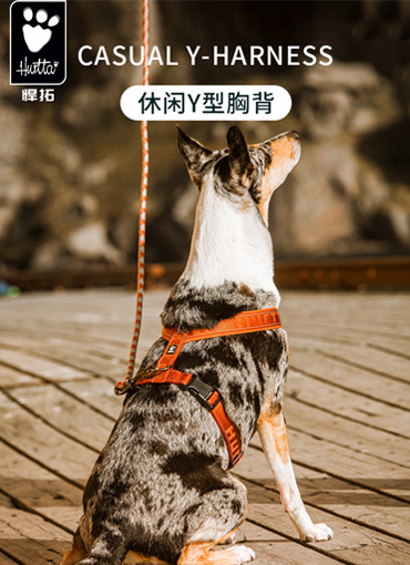 悍拓