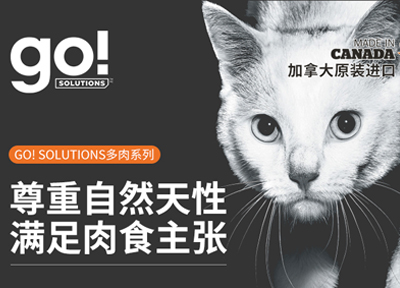 深入洞察市场需求 精致养宠下的go!宠粮新方案