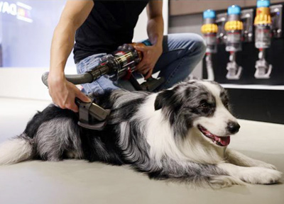 新尚 让科技融入宠物日常