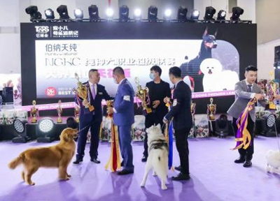 顺应爱宠天性,伯纳天纯强势亮相2022它博会