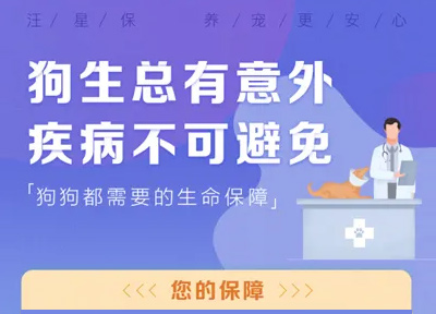 科学养宠观念催生宠物保险需求增长