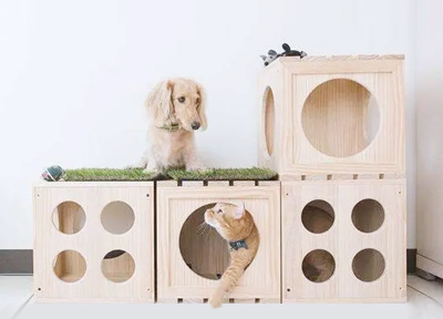 现代宠物家居新风潮,几种比较常见的宠物家居设计