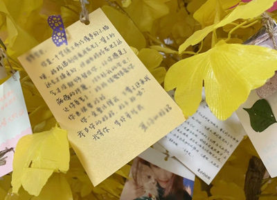 宠物殡葬业悄然兴起：给宠物一次体面的告别