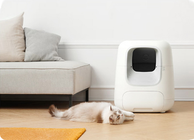 宠物品牌商家备战猫天双11：哪些宠物品类会受热捧？