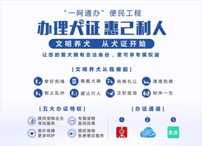 上海新推出「文明养犬一件事」便民措施，可查看犬只免疫和办证情况