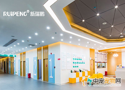 国内宠物护理平台新瑞鹏赴美IPO 旗下近2000家宠物医院