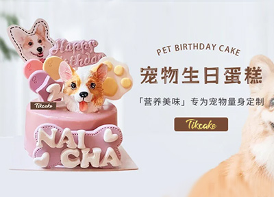 Tikcake推出宠物蛋糕系列，为你的宠物带来独特的味觉盛宴
