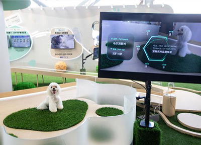 蚂蚁保研发的新一代&ldquo;宠物生物信息识别系统&rdquo;亮相外滩大会