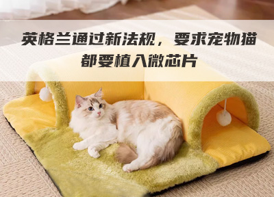 英格兰通过新法规，要求宠物猫都要植入微芯片