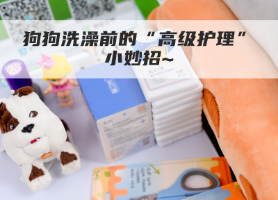 狗狗洗澡前的“高级护理”小妙招~