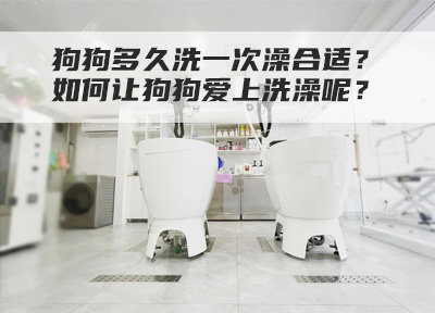 狗狗多久洗一次澡合适?如何让狗狗爱上洗澡呢?