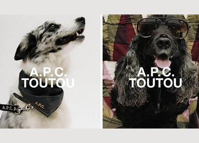 A.P.C.携高端宠物系列TOUTOU进军千亿宠物经济赛道