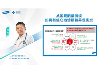 礼蓝动保×宠医客专家座谈会：解码宠物皮肤健康管理新范式