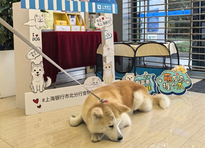 带着“毛孩子”可以进银行了，上海银行首家宠物友好网点正式亮相