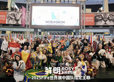 连续两年成为指定主粮,鲜朗以「新鲜营养」护航中国猫咪问鼎国际赛场