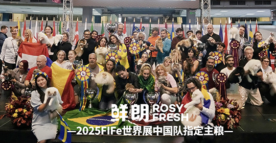 连续两年成为指定主粮，鲜朗以「新鲜营养」护航中国猫咪问鼎国际赛场