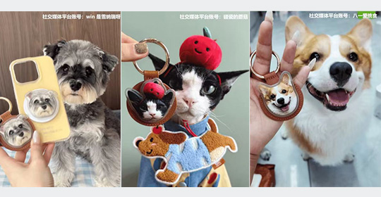 从AI“照骗”到实体定制：茸仔AI手办成“铲屎官”情感纪念新选择