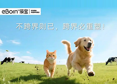 伊利深耕宠物食品赛道 依宝eBorn以科技破局千亿蓝海