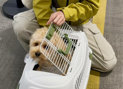 春秋航空&ldquo;宠物友好&rdquo;航线增至133条 携宠出行服务覆盖7城出港航班