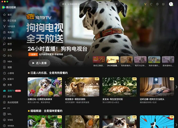 腾讯视频上线宠物TV,猫咪狗狗专属频道开启试运营