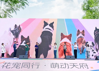 成都锦江区推出首个宠物产业三年行动计划